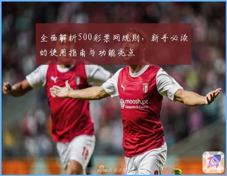 全面解析500彩票网规则，新手必读的使用指南与功能亮点
