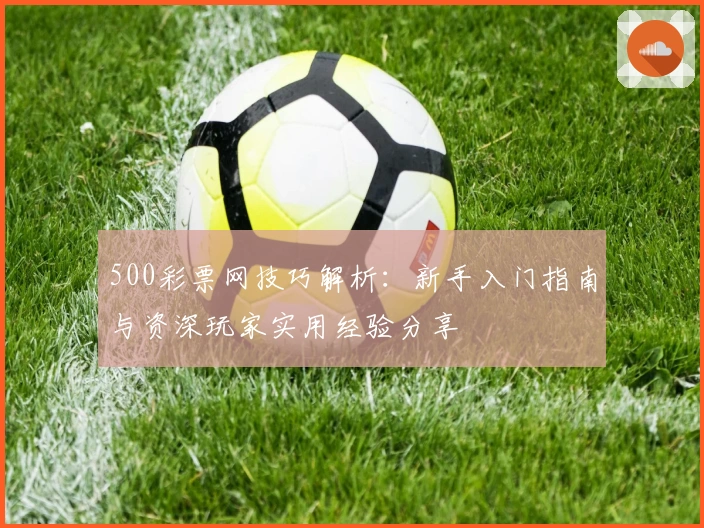 500彩票网技巧解析：新手入门指南与资深玩家实用经验分享