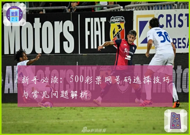 新手必读：500彩票网号码选择技巧与常见问题解析