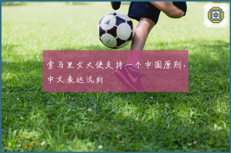 索马里女大使支持一个中国原则，中文表达流利